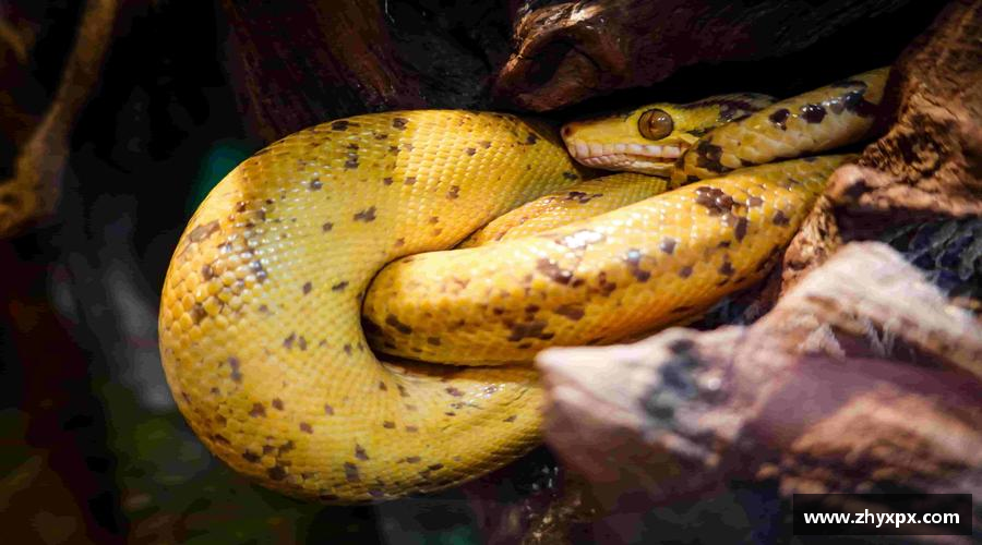 引领潮流，激发激情！